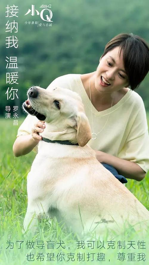 诺克斯学院在读证明办理